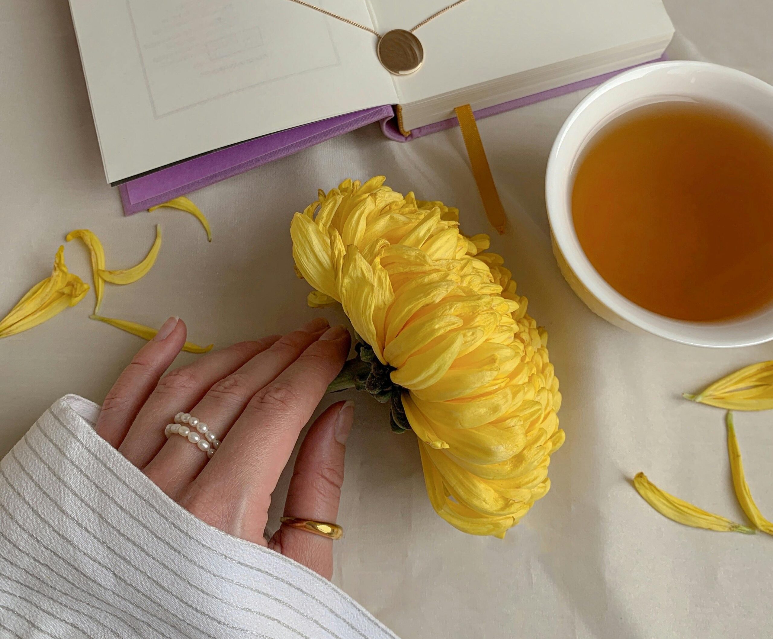 Online individualne sesije